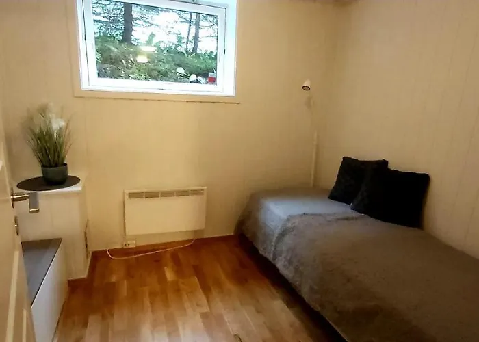 Aurora Rooms In Shared Hause Nr3 We Are Doing Northen Lights Trip, Reaindear Trip And Sommaroy Fjord Trips Tromso